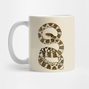 serpent,cobra,reptile,viper,venom,lizard,rattlesnake,king cobra,dragon,hydra,poison,venomous,plumber's snake,pythonidae,pythons,auger,python,squamata,serpentine,worm,big,ophidian,rattlesnakes,medusa,snakebite Mug